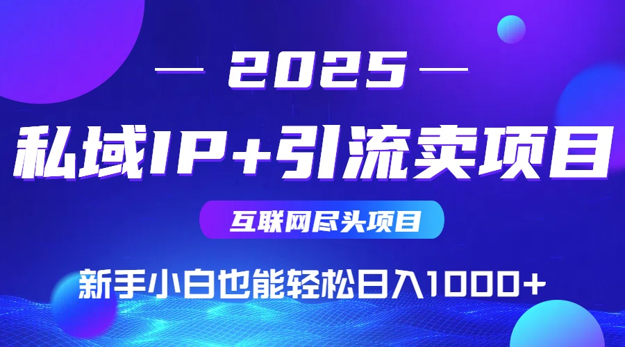 2025网创尽头项目，私域IP+引流，新手小白也能在家日入1000+-天云资源网