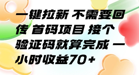 一键拉新 不需要回传 首码项目 接个验证码就算完成 一小时收益70+【揭秘】-天云资源网