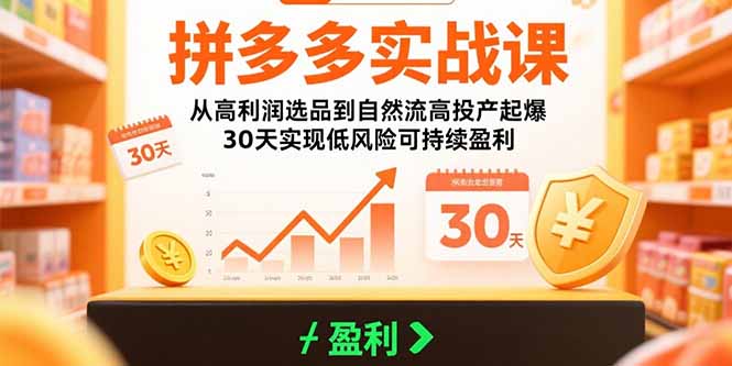 拼多多实战课：从高利润选品到自然流高投产起爆 30天实现低风险可持续盈利-天云资源网