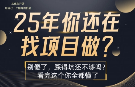 25年，你还在疯狂的找项目吗？别傻了，看完这个你都懂了【揭秘】-天云资源网
