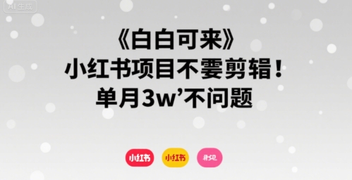 小白可来 小红书项目不需要剪辑 单月3w不是问题-天云资源网