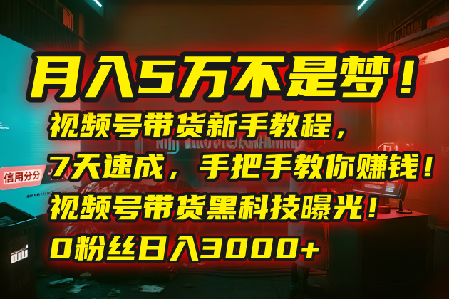 月入5万不是梦！视频号带货新手教程，7天速成，手把手教你赚钱！视频号...-天云资源网