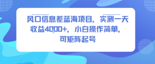 风口信息差蓝海项目，实测一天收益4k+，小白操作简单，可矩阵起号-天云资源网