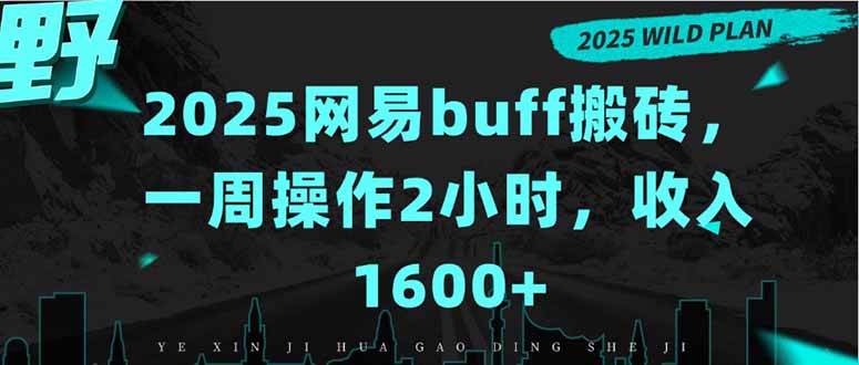 2025网易buff搬砖，一周操作2小时，收入1600+-天云资源网