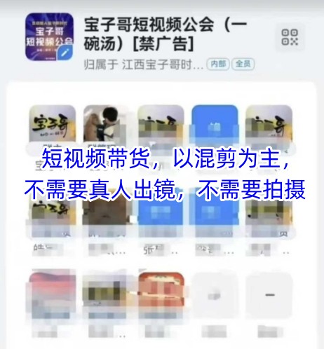 宝子哥头部团队短视频带货，以混剪为主，不需要真人出镜，不需要拍摄【更新8月】-天云资源网