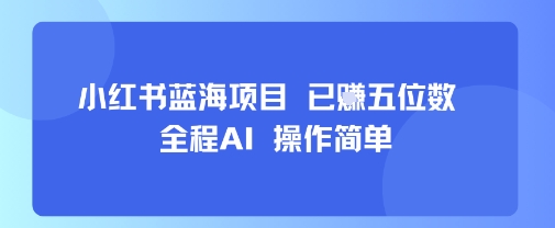 小红书蓝海项目，全程AI，操作简单，已挣五位数-天云资源网