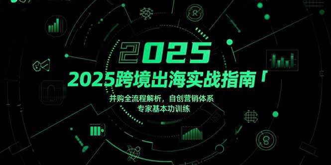 2025跨境出海实战指南，并购全流程解析，自创营销体系，专家基本功训练-天云资源网