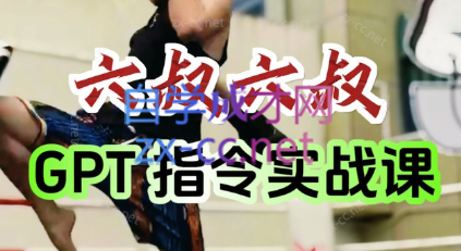 六叔的AI指令实战课(更新7月)-天云资源网