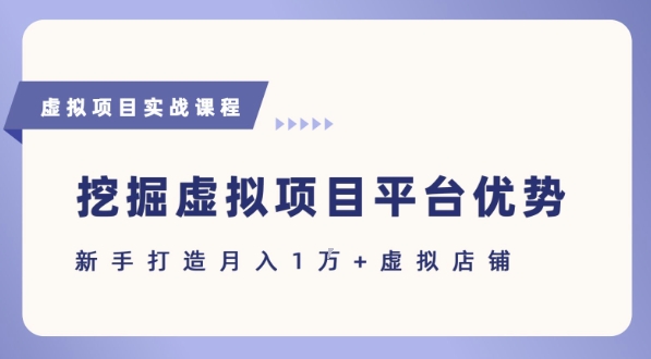 抓住虚拟项目各平台优势，新手轻松月入1W+(给出具体建议)-天云资源网