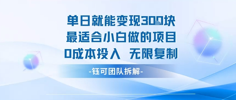 单日就能变现3张最适合小白做的项目0成本投入 无限复制-天云资源网