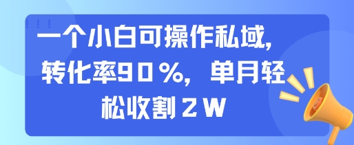 一个小白可操作私域，转化率90%，单月轻松收割2W-天云资源网