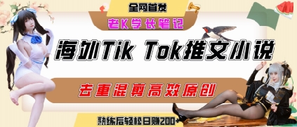海外tiktok小说推文暴力项目，高停留率，高转化率，上手后一天搞顿饭钱不是问题-天云资源网
