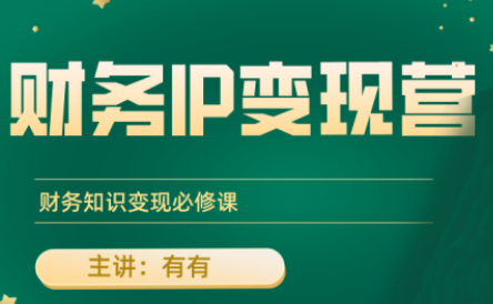 有有老师·财务IP变现营，财务知识变现必修课-天云资源网