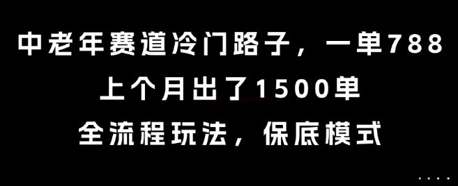 中老年赛道冷门路子，一单788，上个月出了1500单，全流程玩法，保底模式【揭秘】-天云资源网