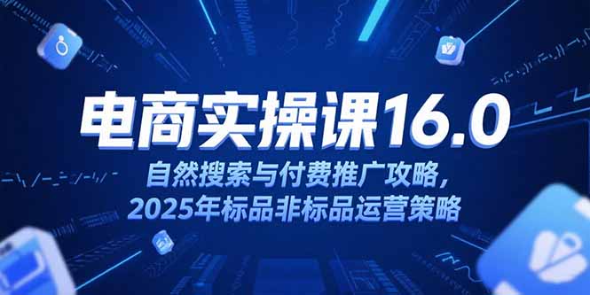 淘宝电商运营课16.0，自然搜索与付费推广攻略，2025年标品非标品运营策略-天云资源网