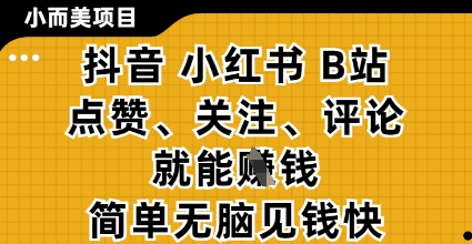 小而美的项目，抖音小红书B站视频点赞、关注、评论就能挣钱，简单无脑立见收益，妥妥的零撸项目【揭秘】-天云资源网