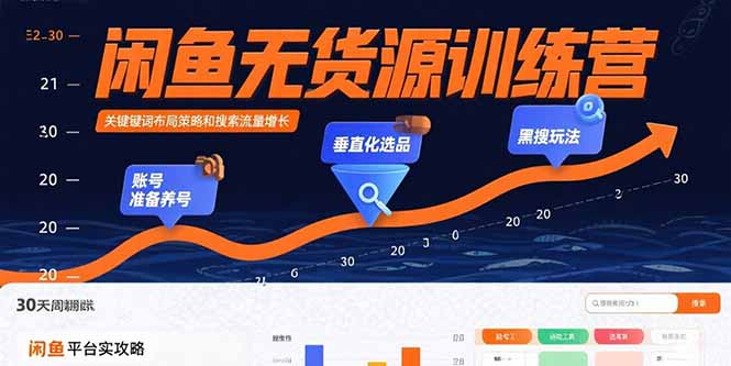 闲鱼无货源训练营：账号准备养号/垂直化选品/黑搜玩法，0基础30天盈利指南-天云资源网