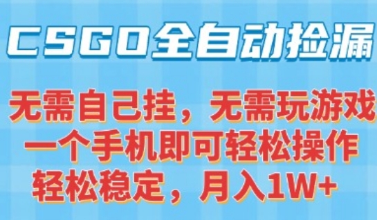 CSGO自动捡漏项目，最新独家玩法，一个手机可操作，新手小白轻松月入1W+，操作简单易上手【揭秘】-天云资源网