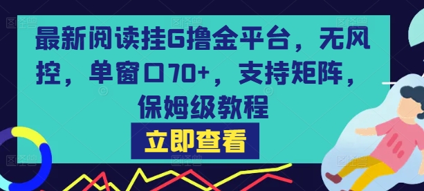最新阅读挂G撸金平台，无风控，单窗口70+，支持矩阵，保姆级教程【揭秘】-天云资源网