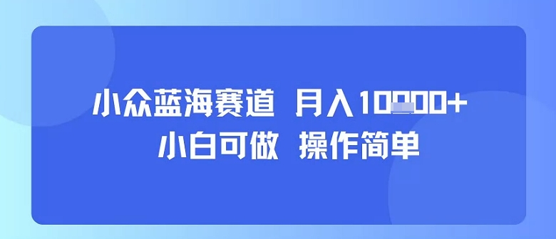 小众蓝海赛道，小白可做，操作简单，每天30分钟，月入1W+-天云资源网