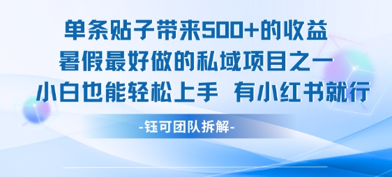 单条贴子带来5张的收益，暑假最好做的私域项目之一，小白也能轻松上手，有小红书就行-天云资源网