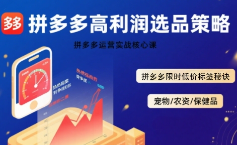 拼多多选品暴利技术实战课，拼多多高利润选品策略，拼多多限时低价标签秘诀-天云资源网