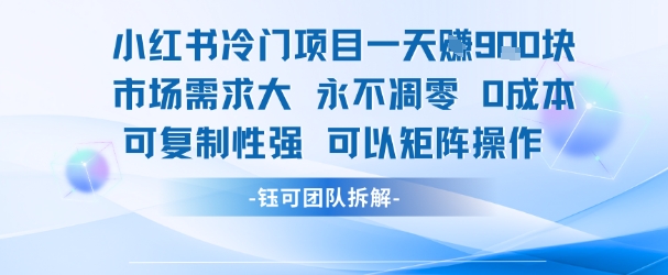 小红书冷门项目一天收益9张,市场需求大,0成本,可复制性强可以矩阵操作-天云资源网
