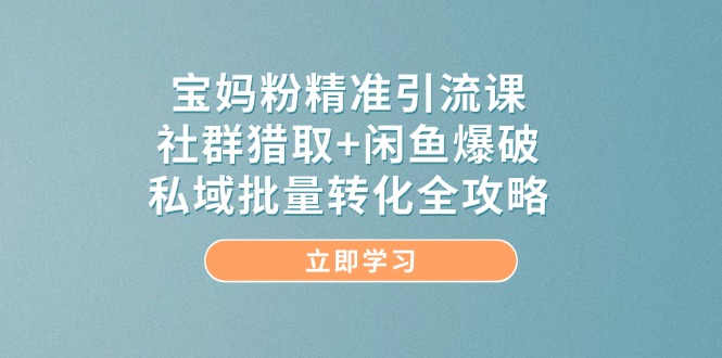 宝妈粉精准引流课,社群猎取+闲鱼爆破,私域批量转化全攻略-天云资源网