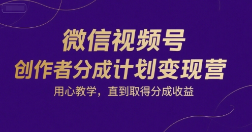 微信视频号创作者分成计划变现营，用心教学，直到取得分成收益-天云资源网