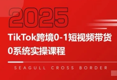 大亿老师·TikTok跨境0-1短视频带货-天云资源网