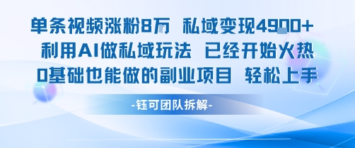 单条视频私域变现4.9k+利用AI做私域玩法 已经开始火热0基础也能做的副业项目轻松上手-天云资源网