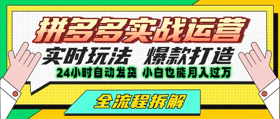 拼多多最新实战运营高投产：长久稳定项目，单店利润一天三位数-天云资源网