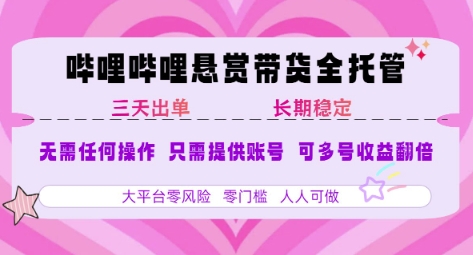 2025年B站风口带货项目 仅需提供账号 全程托管 轻松月入1w+-天云资源网