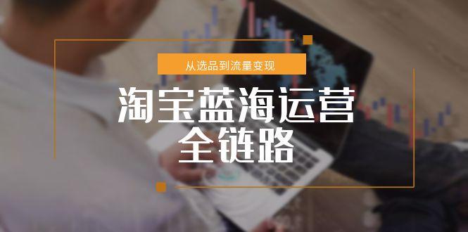 淘宝蓝海运营全链路，从选品到流量变现，小类目突围完整方案-天云资源网