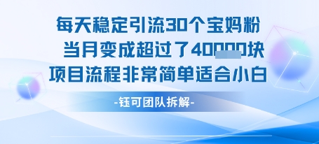 每天稳定引流30个人 当月变成超过了4个W项目流程非常简单适合小白-天云资源网
