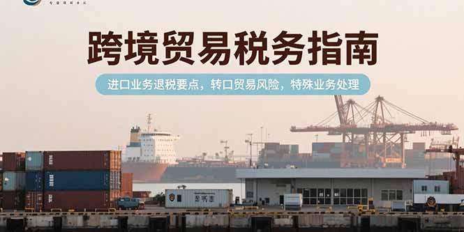 跨境贸易税务指南，进口业务退税要点，转口贸易风险，特殊业务处理-天云资源网