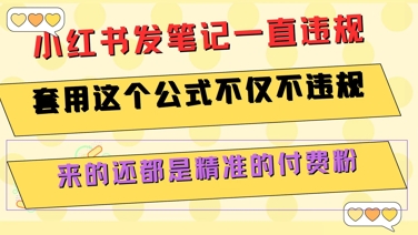 小红书发笔记一直违规,套用这个公式不仅不违规,来的还都是精准的付费粉-天云资源网