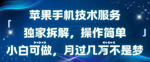 苹果手机技术服务，独家拆解，操作简单，小白可做，月过1W不是梦-天云资源网