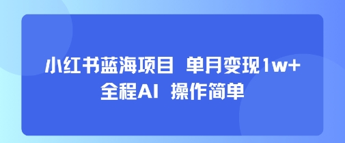 小红书蓝海项目 单月变现1w+ 全程AI 操作简单-天云资源网