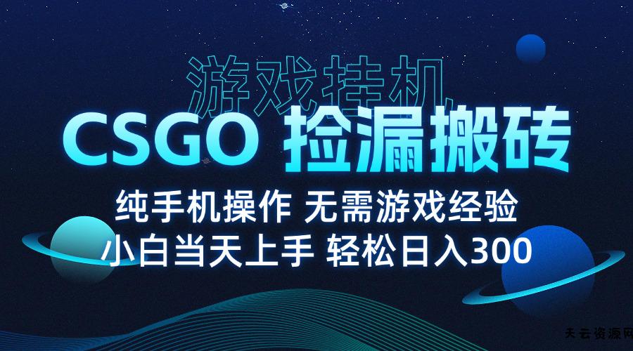 8月最新游戏搬砖，CSGO纯挂机，不需要玩游戏，实现真挂机，月入1W+-天云资源网