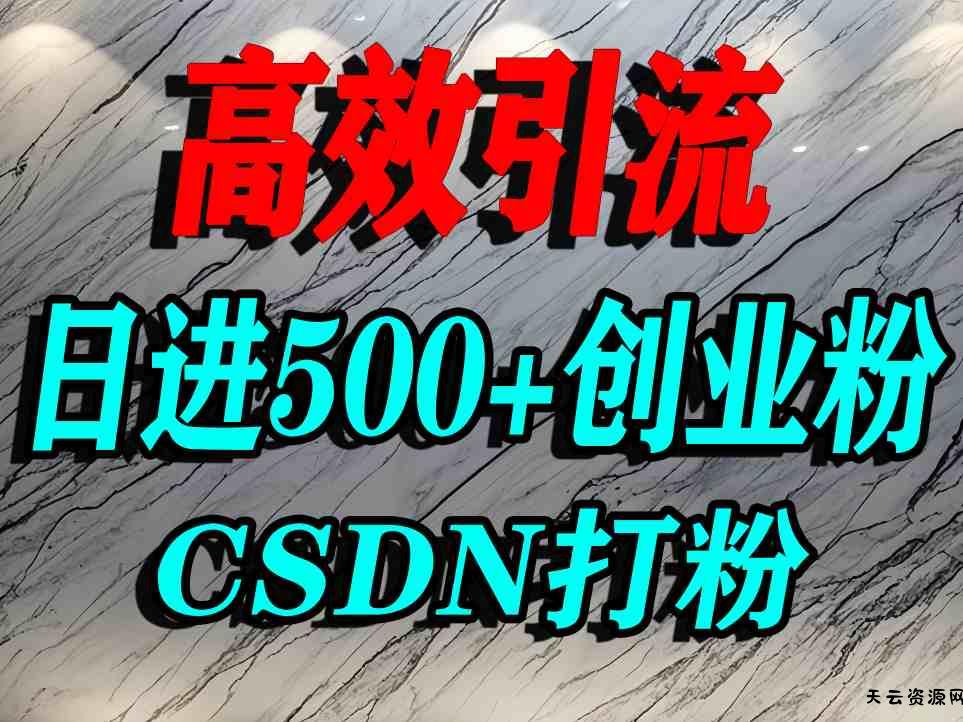 怎么打创业粉？CSDN又一个你不知道的打粉引流神秘平台，单人日引500+精准流量-天云资源网