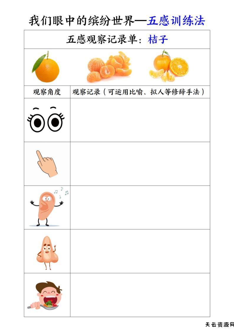 三上语文-第五单元五感训练法-天云资源网