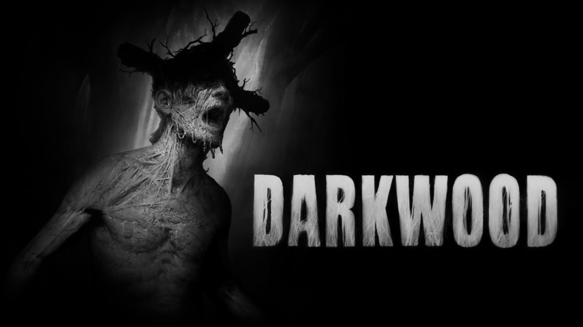 《阴暗森林 Darkwood》Switch中文版NSP下载-天云资源网
