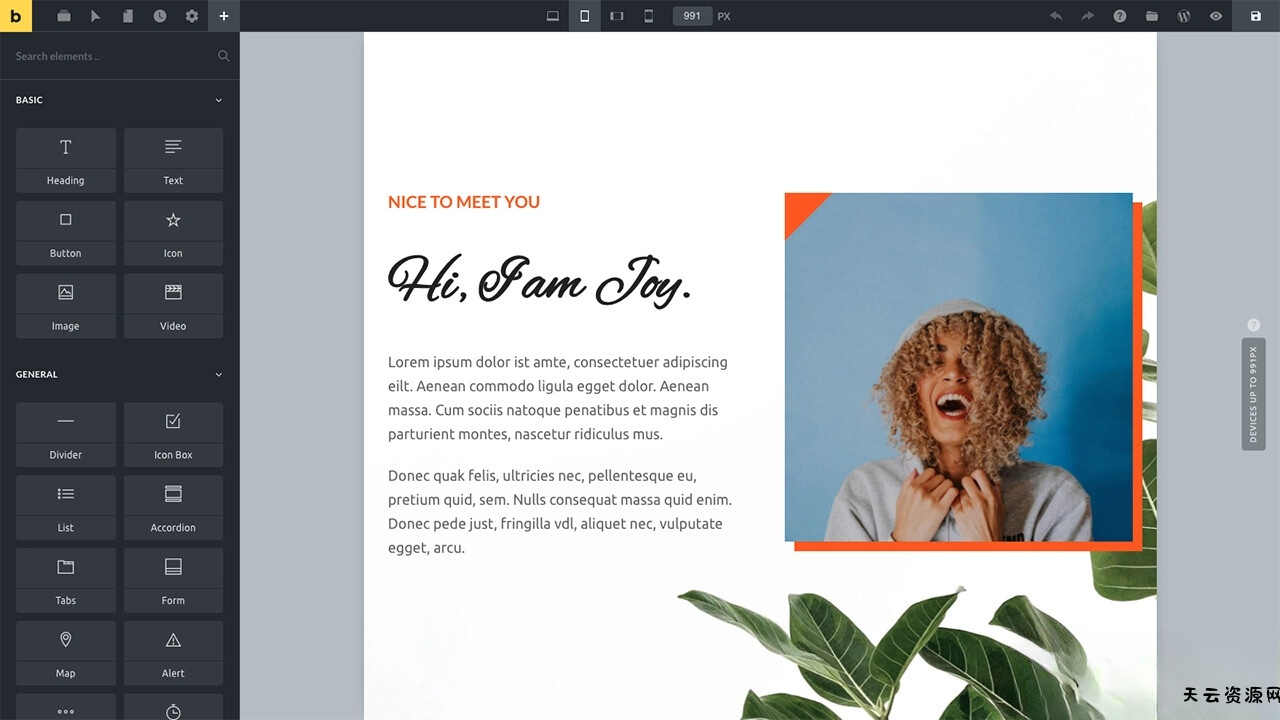 WordPress主题Bricks v1.9 破解版-天云资源网
