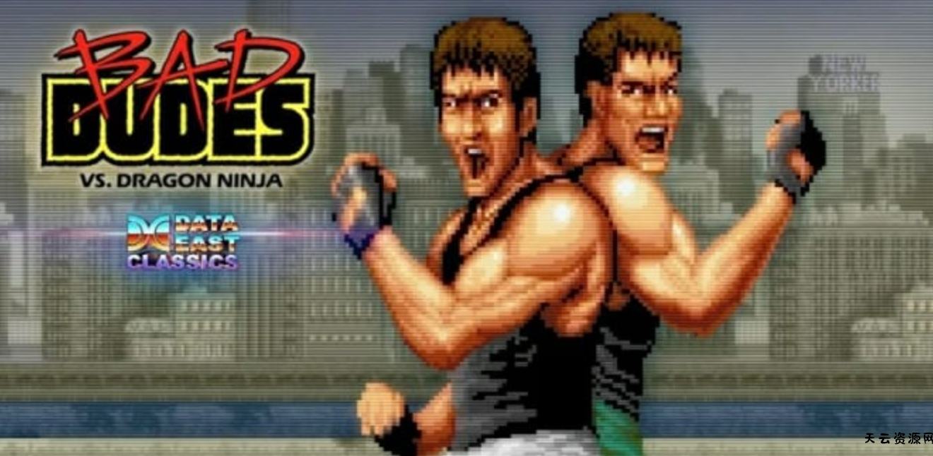 《龙行忍者 Johnny Turbo’s Arcade:Bad Dudes》Switch英文版NSP下载 – 含1.0.1补丁-天云资源网