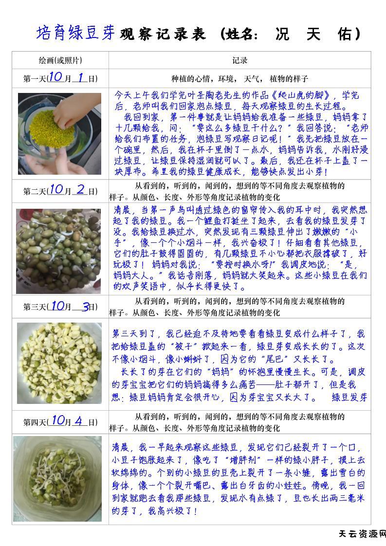 四上语文习作三：培育绿豆芽观察日记2《写观察日记》4页-天云资源网