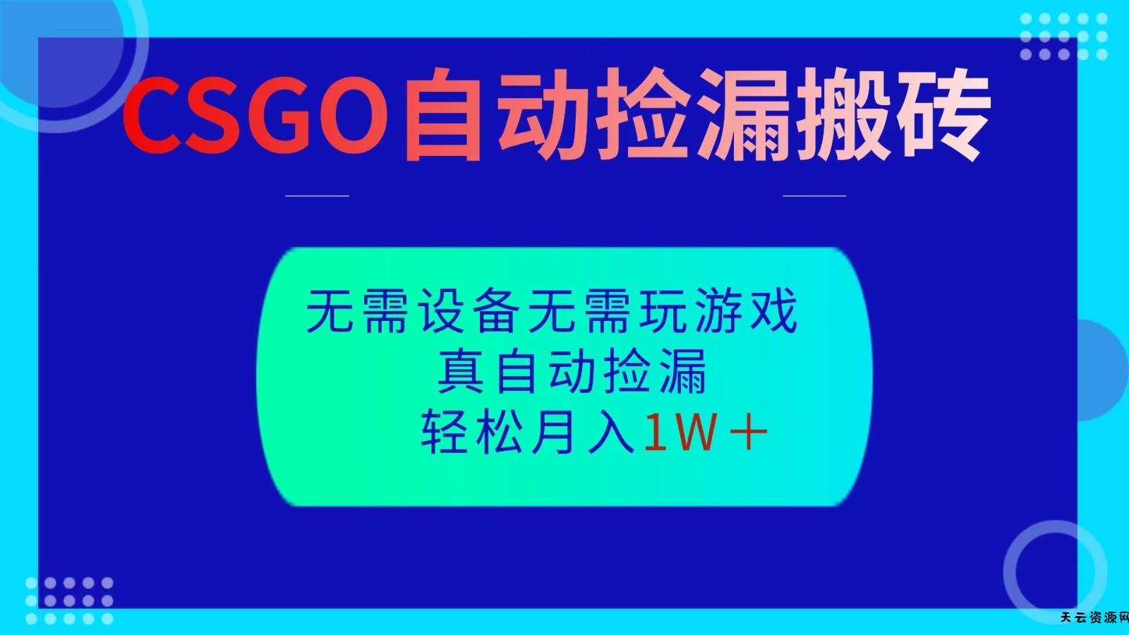 CSGO自动捡漏搬砖，当天操作当天见结果，无需了解游戏，包教包会包落地-天云资源网