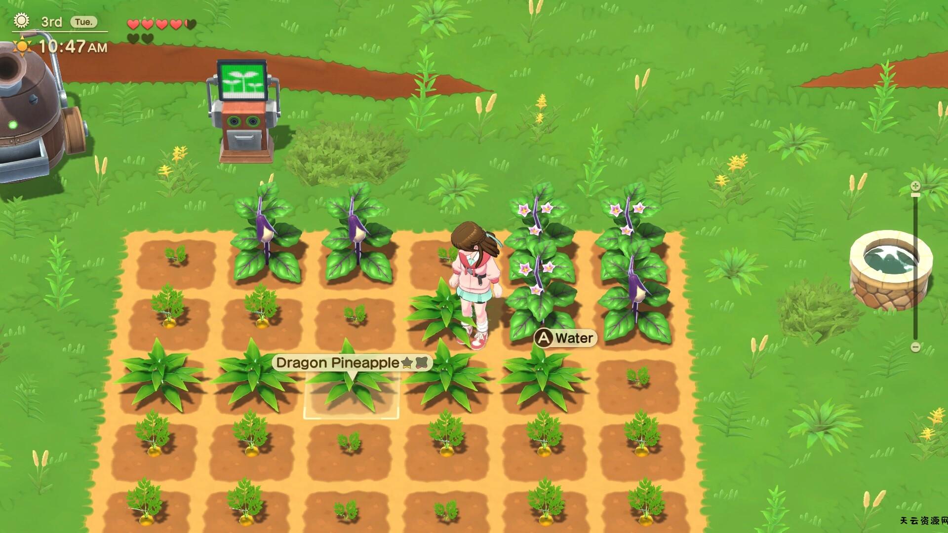 《牧场物语：甜蜜之家 – 特别版/Harvest Moon: Home Sweet》美版英文-天云资源网