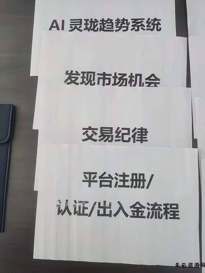图片[3]-海外美金AI掘金项目，200U可入门槛，一天一单即可，每天1000-2000很轻松！-天云资源网