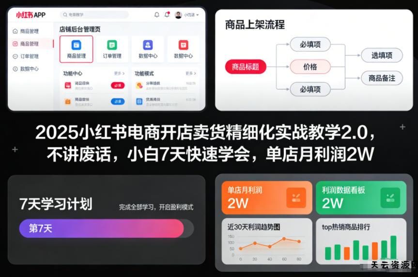 2025小红书电商开店卖货精细化实战教学2.0，不讲废话，小白7天快速学会，单店月利润2W-天云资源网